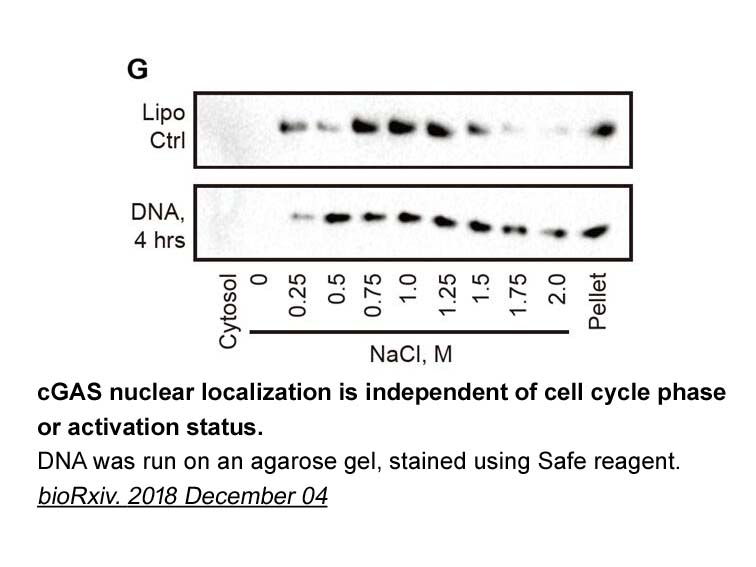 Safe DNA Gel Stain