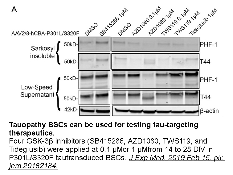 AZD1080