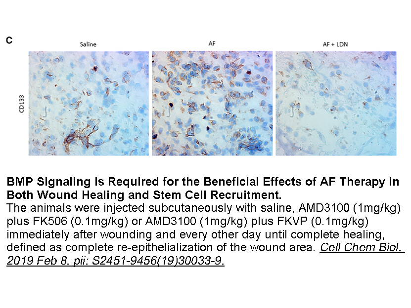 Tacrolimus (FK506) Tacrolimus (FK506)