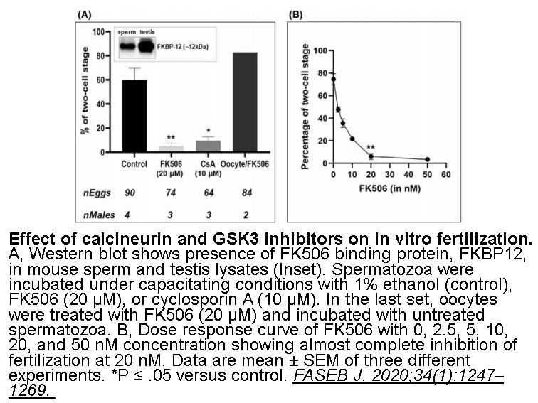 Tacrolimus (FK506) Tacrolimus (FK506)