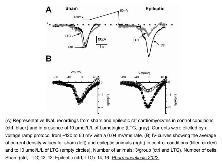 Lamotrigine Lamotrigine