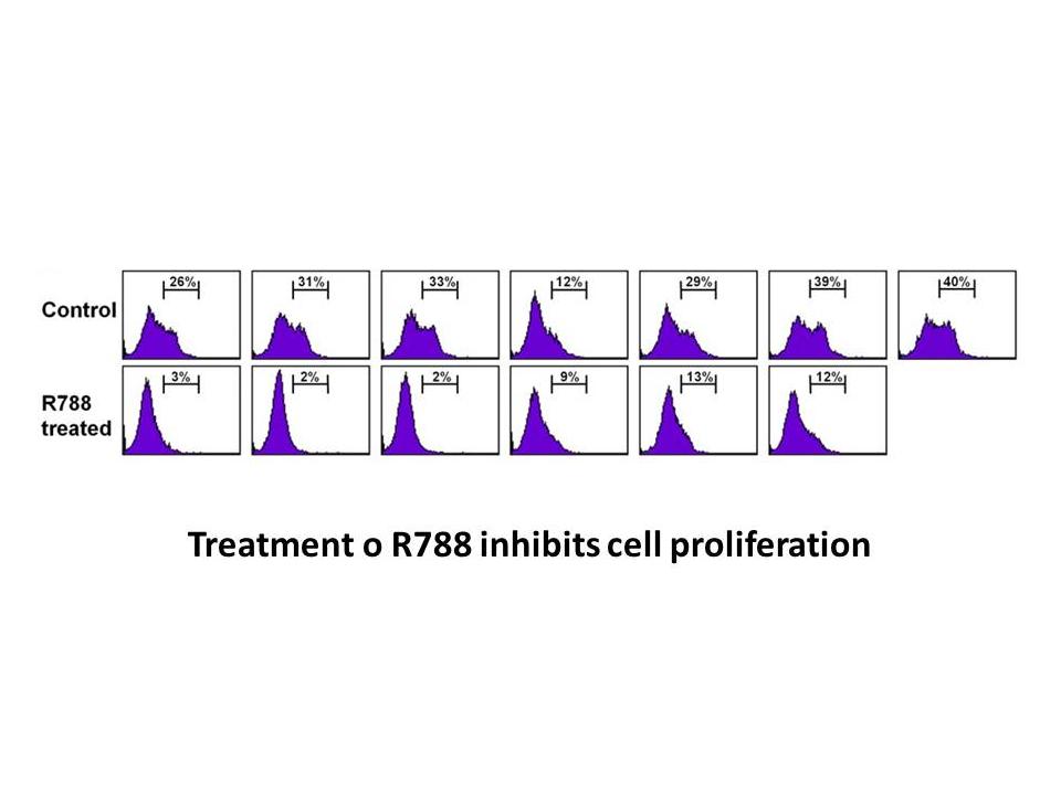 Fostamatinib (R788) Fostamatinib (R788)