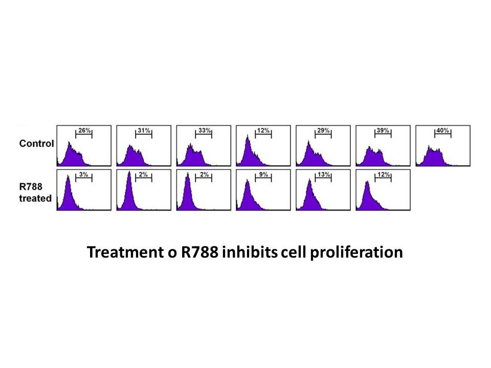 Fostamatinib (R788)