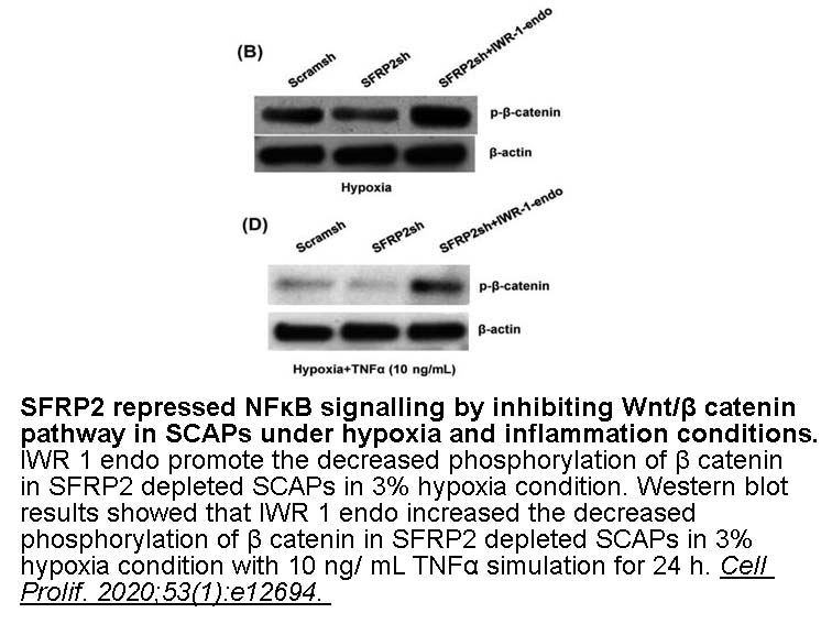 IWR-1-endo IWR-1-endo