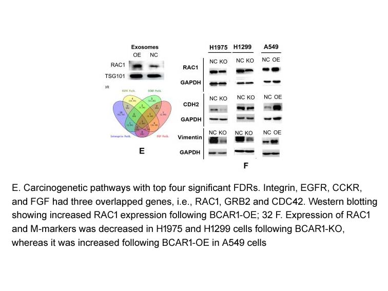 Rac1 Inhibitor W56 Rac1 Inhibitor W56