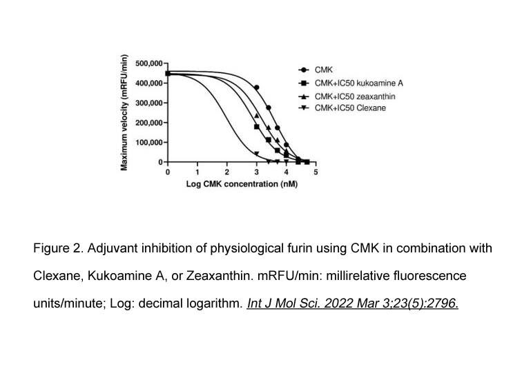 Decanoyl-RVKR-CMK Decanoyl-RVKR-CMK