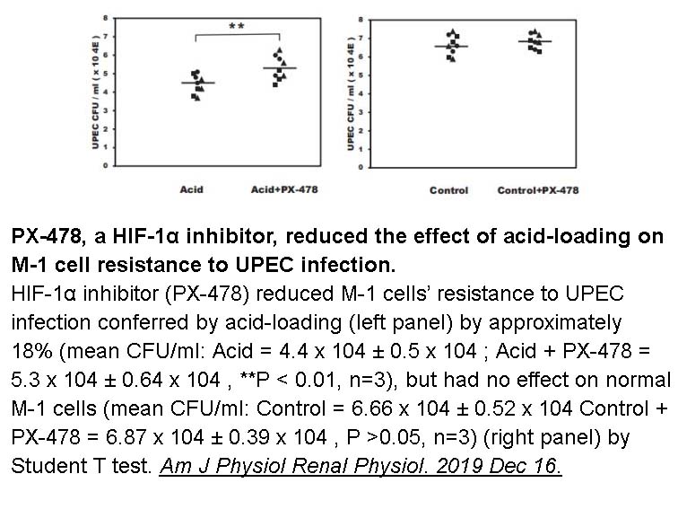 PX-478 2HCl PX-478 2HCl