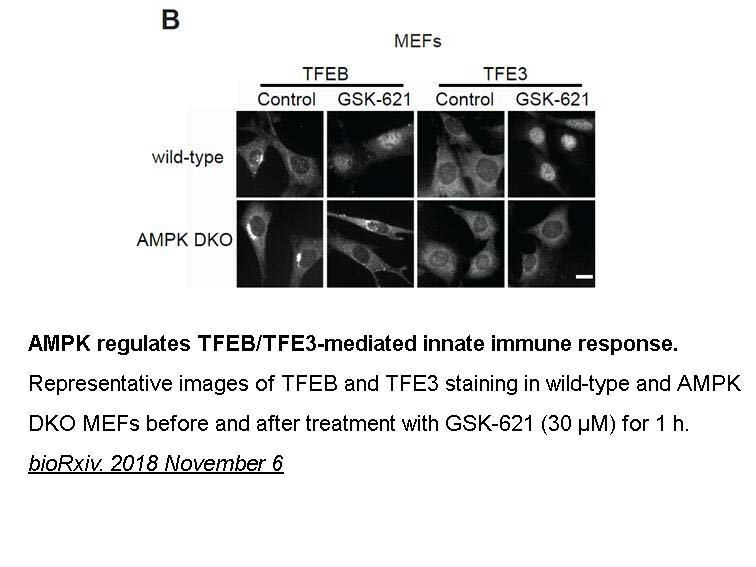 GSK621 GSK621