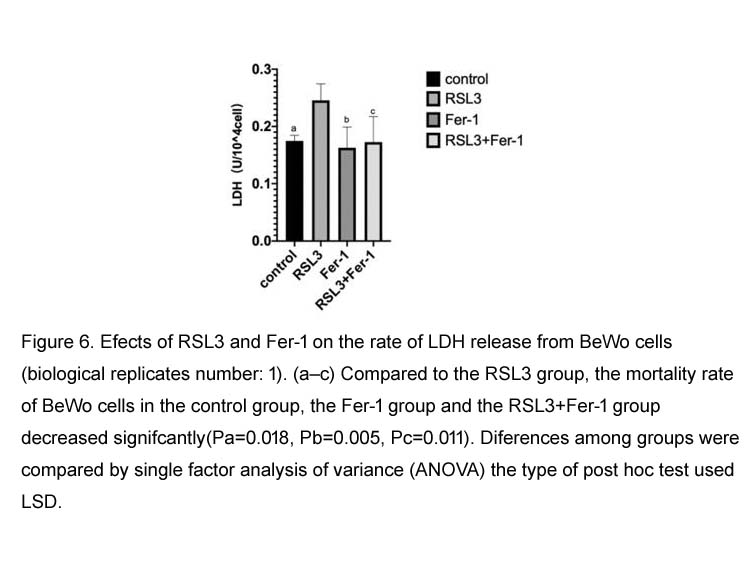 RSL3