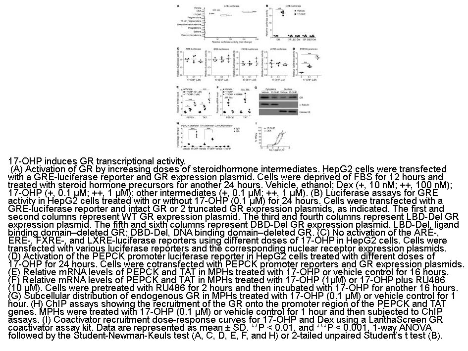 17-Hydroxyprogesterone 17-Hydroxyprogesterone