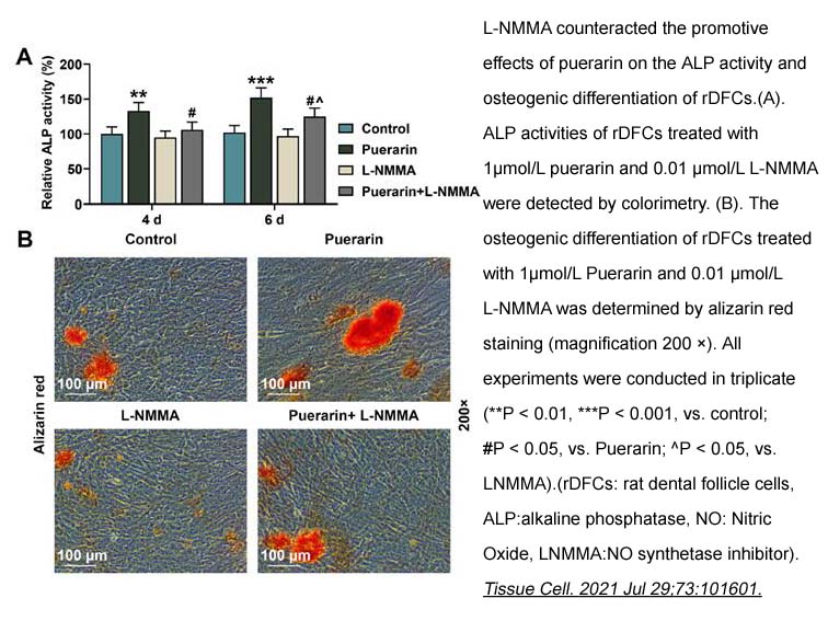 L-NMMA acetate L-NMMA acetate