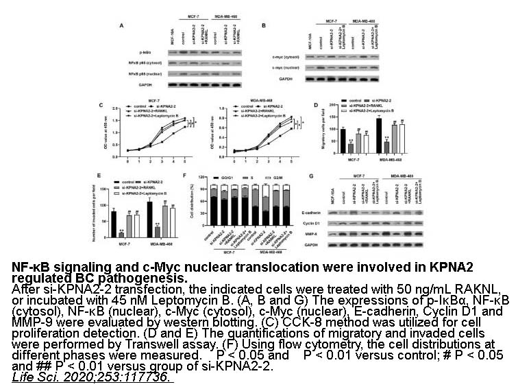 Leptomycin B
