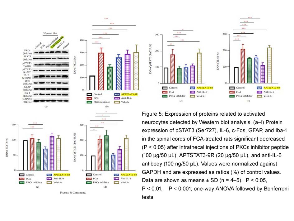 APTSTAT3-9R APTSTAT3-9R
