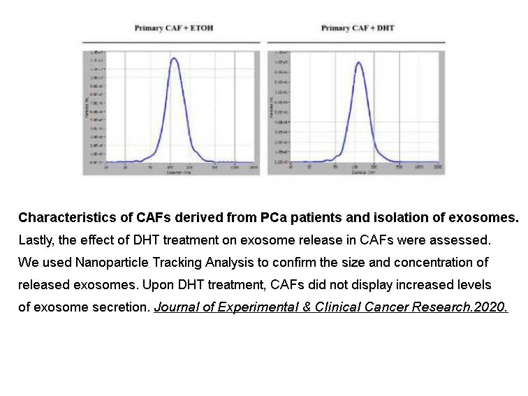 Dihydrotestosterone(DHT)
