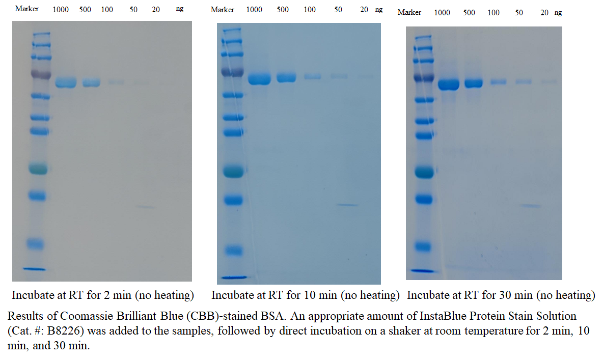 InstaBlue Protein Stain Solution InstaBlue Protein Stain Solution