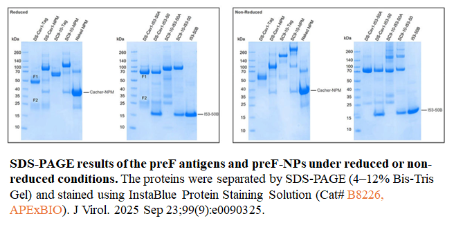 InstaBlue Protein Stain Solution InstaBlue Protein Stain Solution