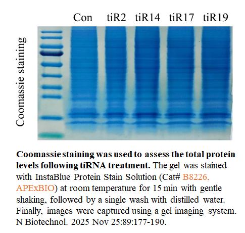InstaBlue Protein Stain Solution InstaBlue Protein Stain Solution