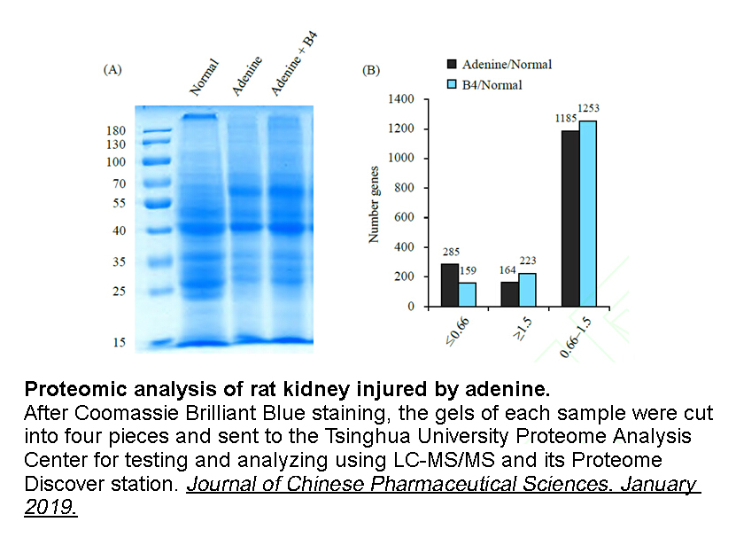 InstaBlue Protein Stain Solution