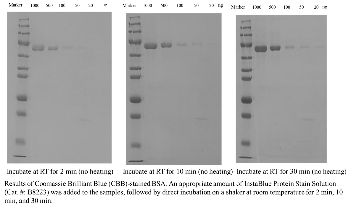 InstaBlue Protein Stain Solution