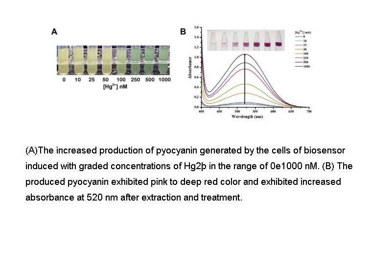 Pyocyanin Pyocyanin