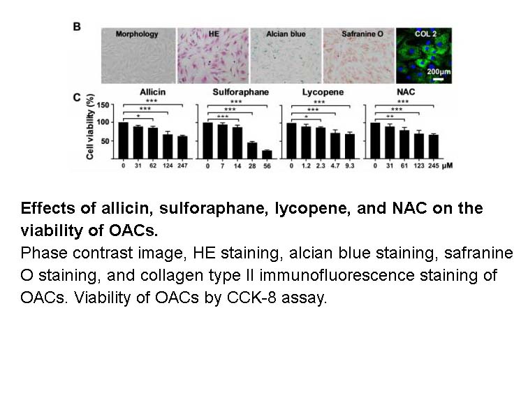 Sulforaphane Sulforaphane