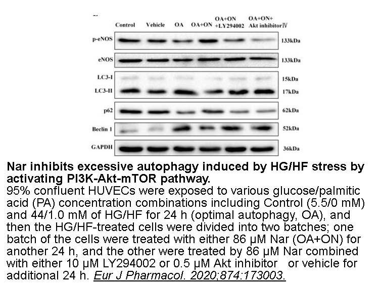 Akt Inhibitor IV