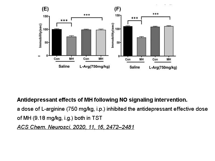 L-Arginine L-Arginine