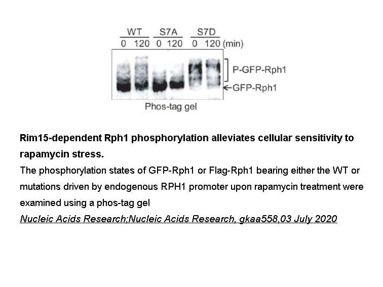 Phos binding reagent (Phosbind) acrylamide Phosbind Acrylamide