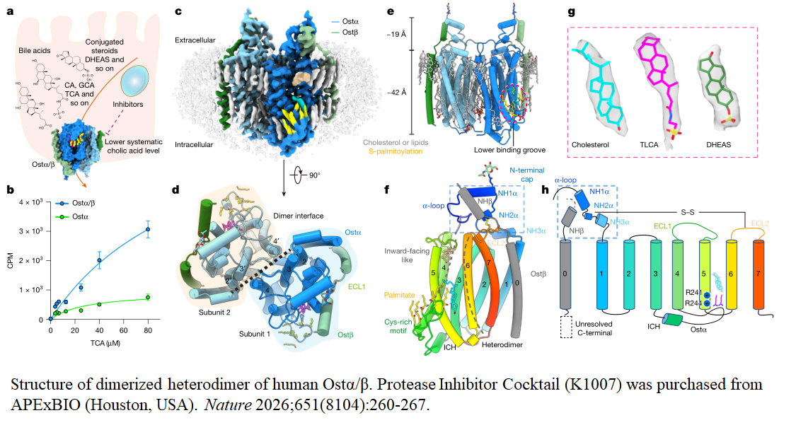 Protease Inhibitor Cocktail Protease Inhibitor Cocktail