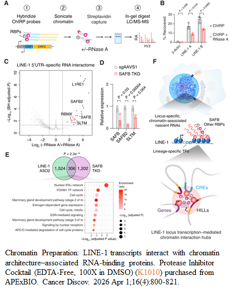 Protease Inhibitor Cocktail (EDTA-Free, 100X in DMSO)