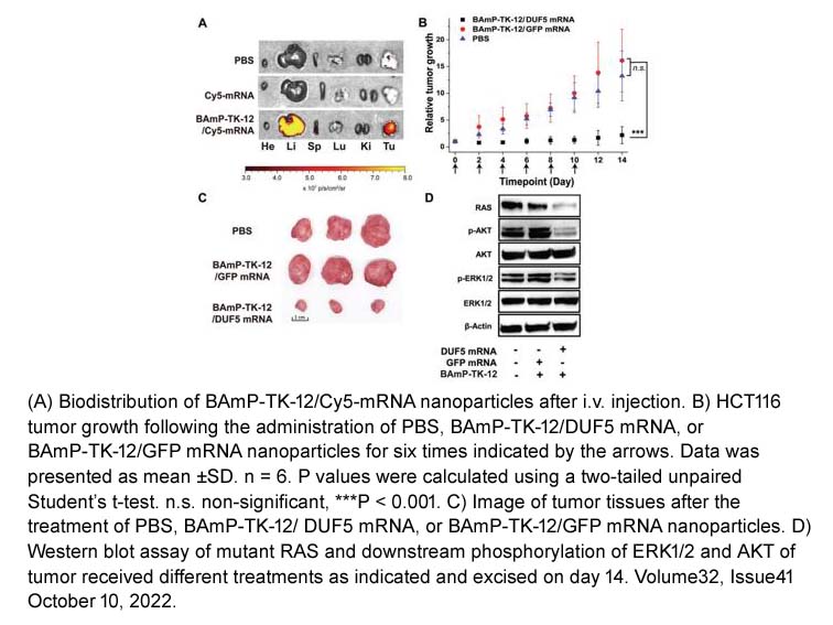 HyperScribe™ T7 High Yield Cy5 RNA Labeling Kit