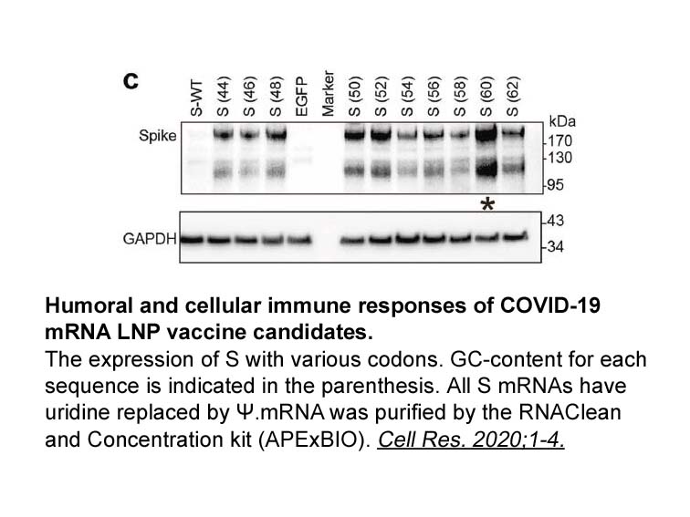 RNA Clean and Concentrator Kit