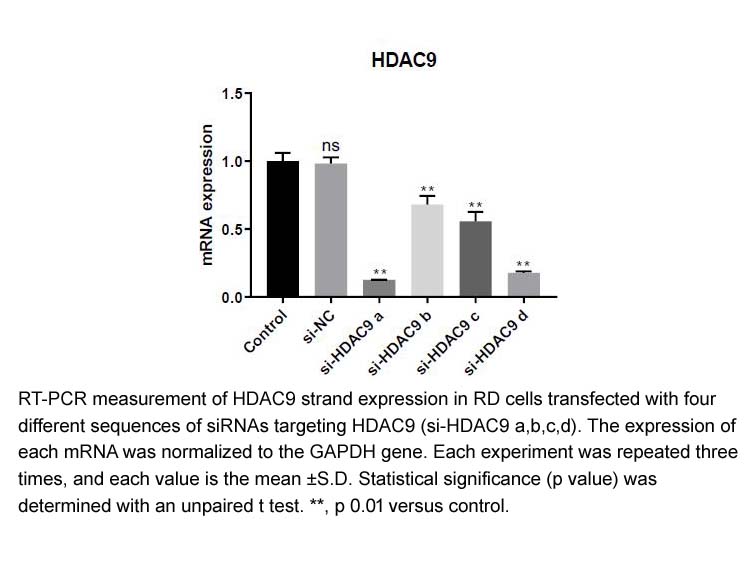 HotStart™ 2X Green qPCR Master Mix HotStart™ 2X Green qPCR Master Mix