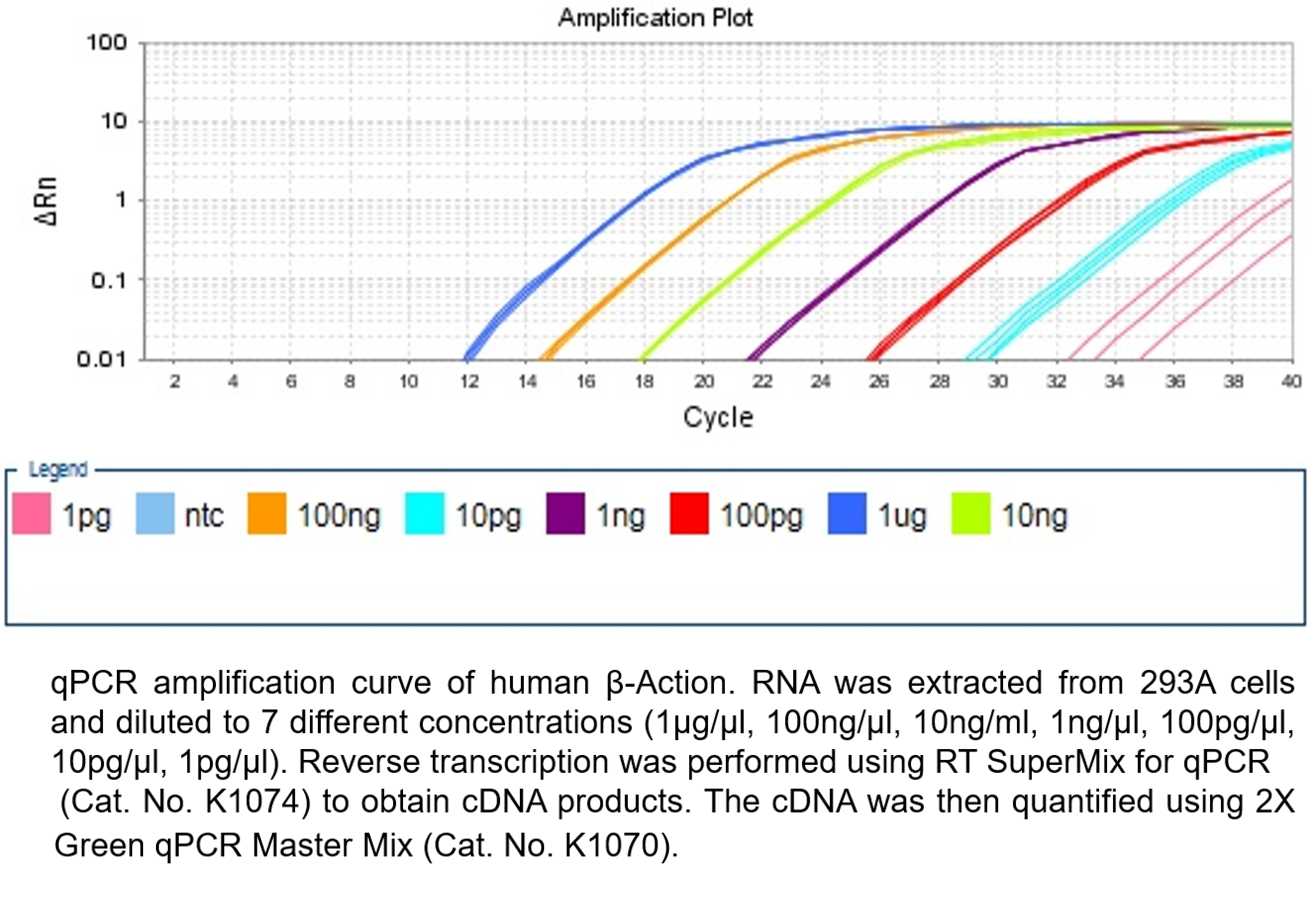 HyperScript™ First-Strand cDNA Synthesis SuperMix