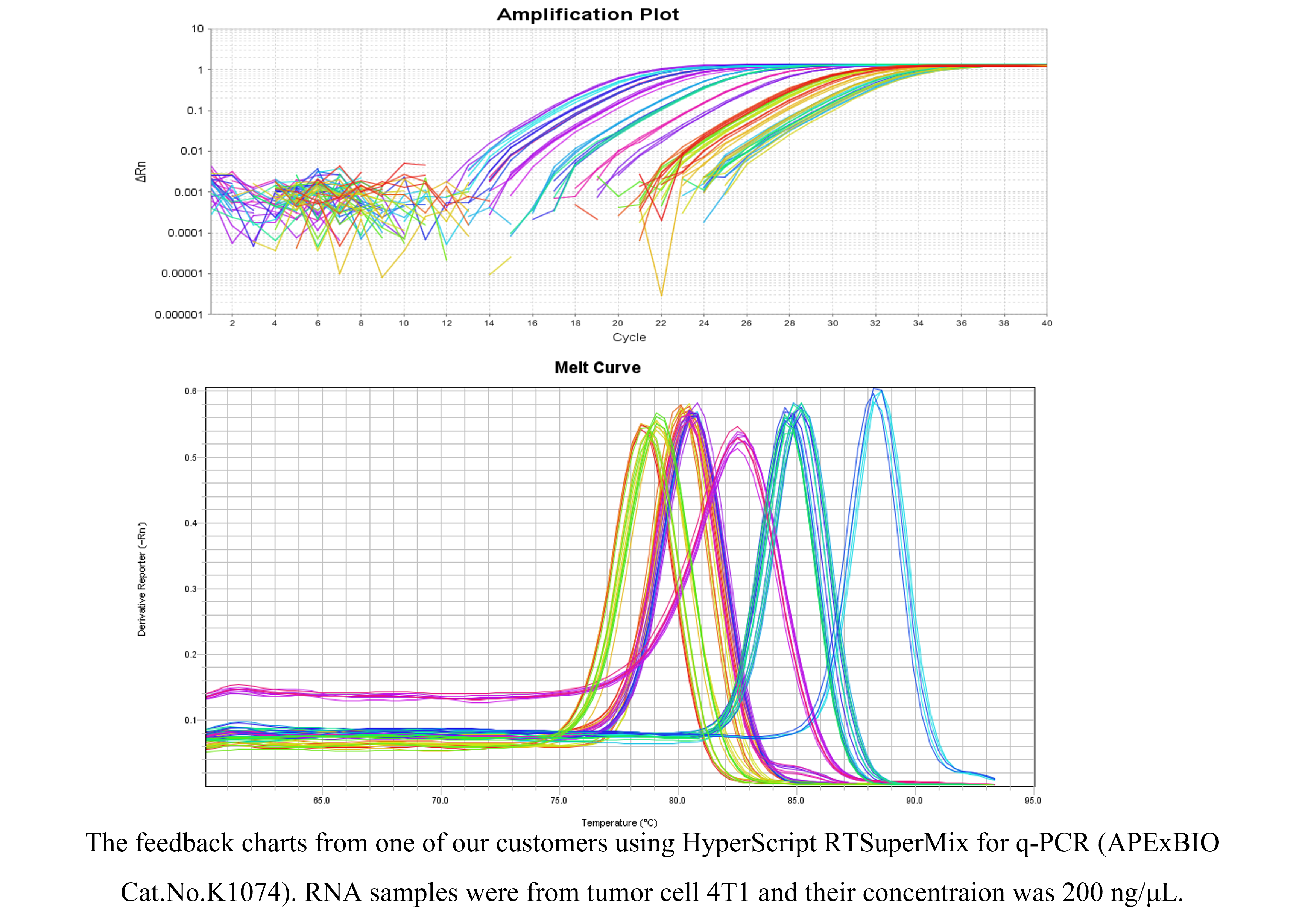 HyperScript™ RT SuperMix for qPCR HyperScript™ RT SuperMix for qPCR