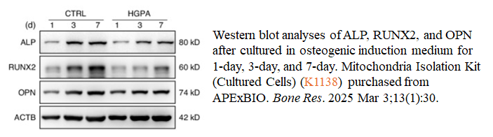 Mitochondria Isolation Kit (Cultured Cells)