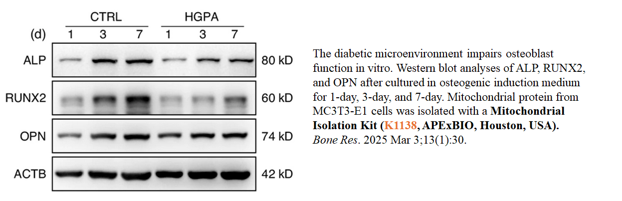 Mitochondria Isolation Kit (Cultured Cells)