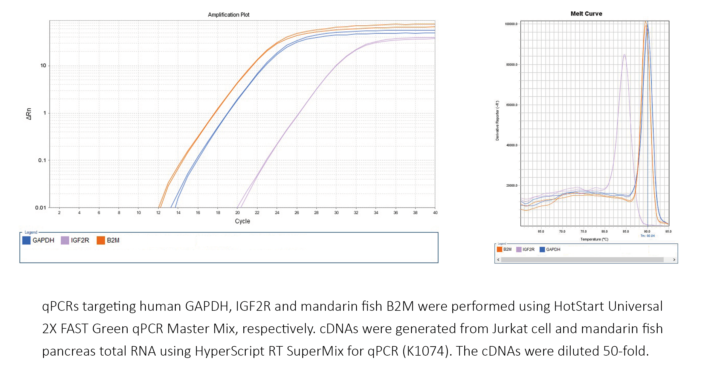 HotStart™ Universal 2X FAST Green qPCR Master Mix