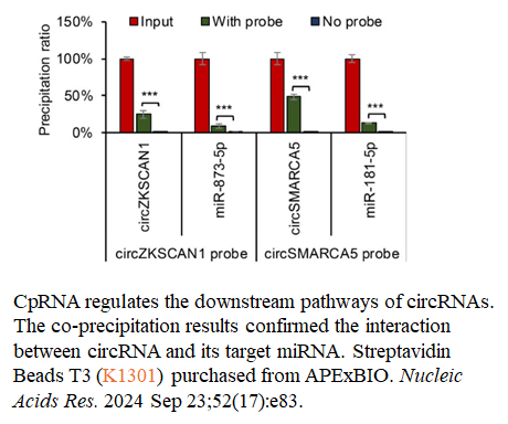 Streptavidin Beads T3