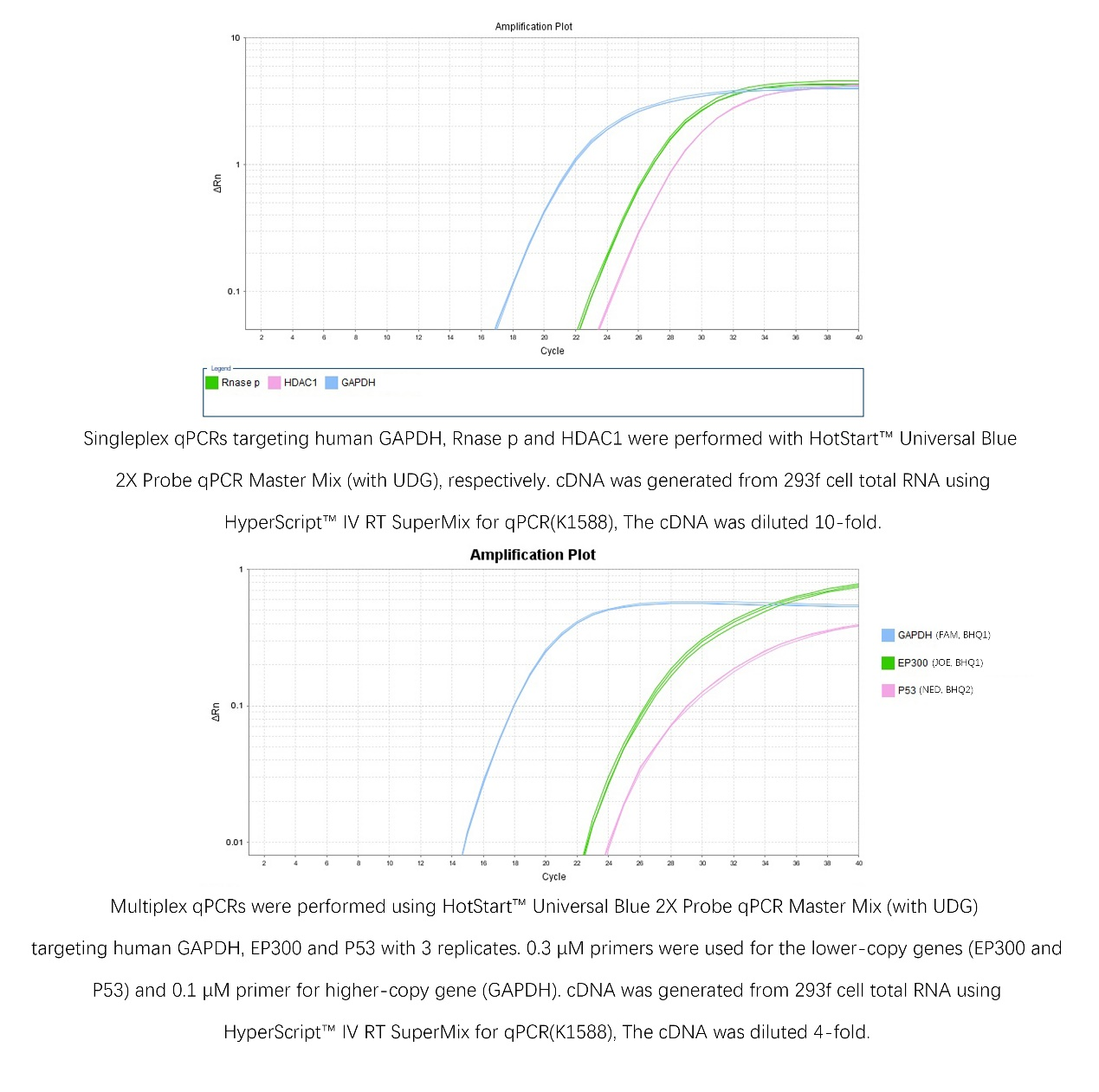 HotStart™ Universal Blue 2X Probe qPCR Master Mix (with UDG) 