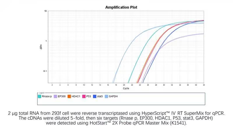 HyperScript™ IV RT SuperMix for qPCR