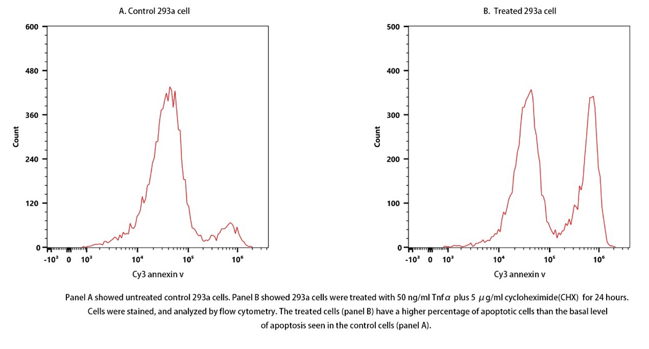 Annexin V-Cy3 Apoptosis Kit Annexin V-Cy3 Apoptosis Kit