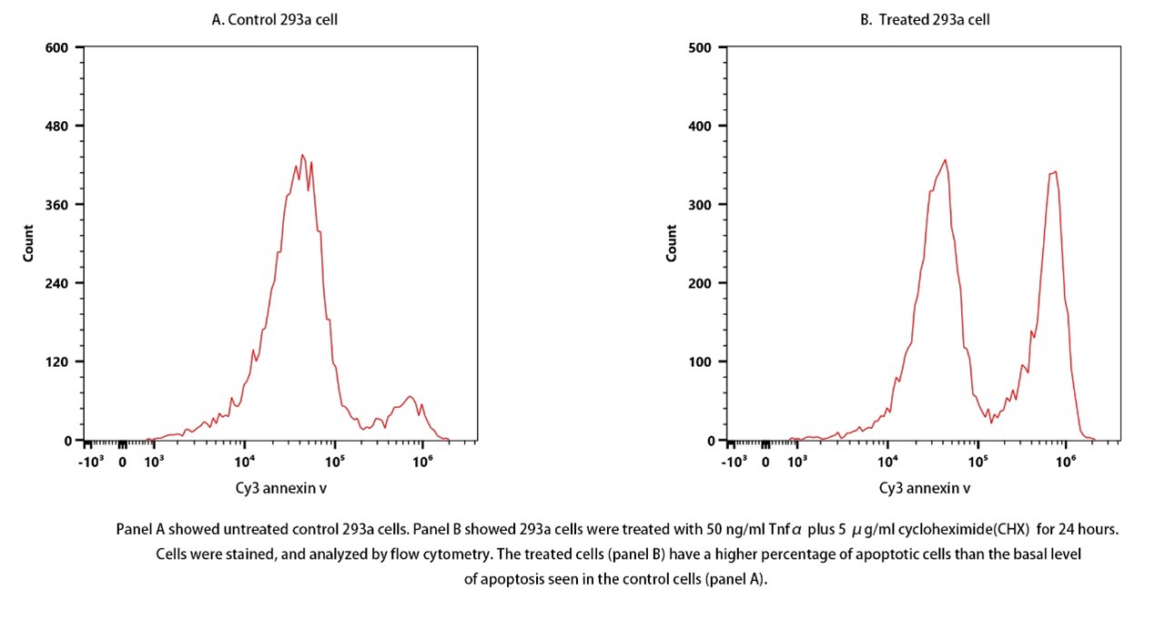 Annexin V-Cy3 Apoptosis Kit