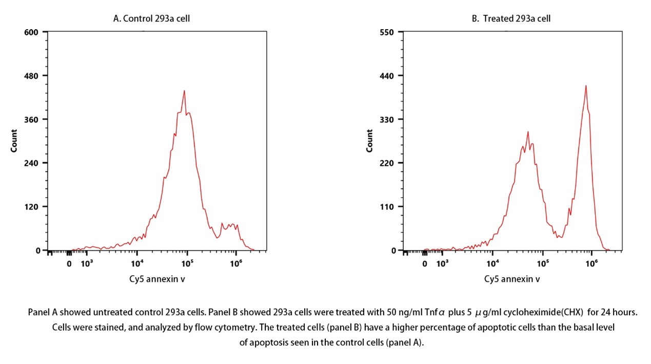 Annexin V-Cy5 Apoptosis Kit Annexin V-Cy5 Apoptosis Kit
