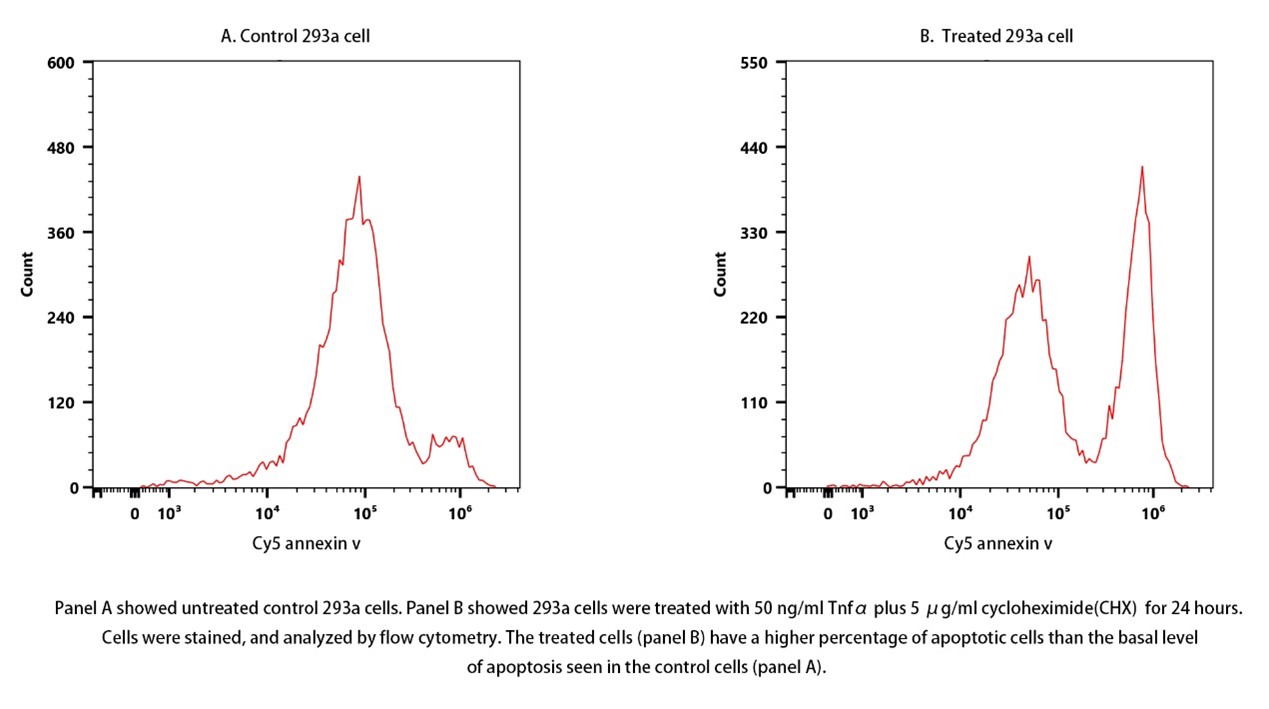 Annexin V-Cy5 Apoptosis Kit