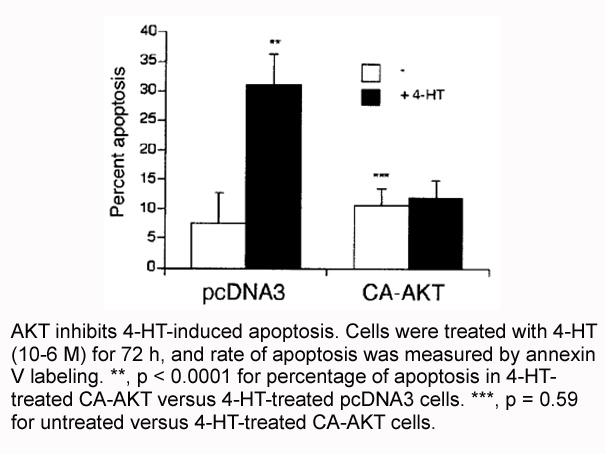 Annexin V-EGFP Apoptosis Kit Annexin V-EGFP Apoptosis Kit