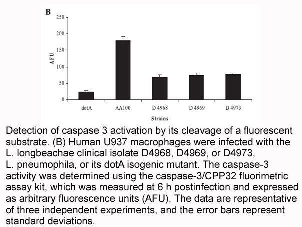 Caspase-3 Fluorometric Assay Kit