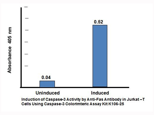 Caspase-3 Colorimetric Assay Kit