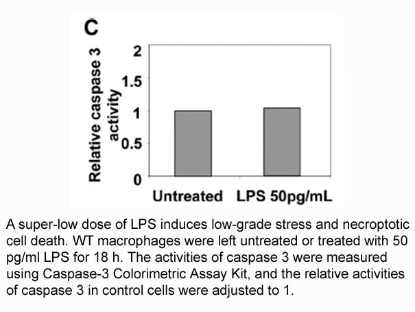 Caspase-3 Colorimetric Assay Kit