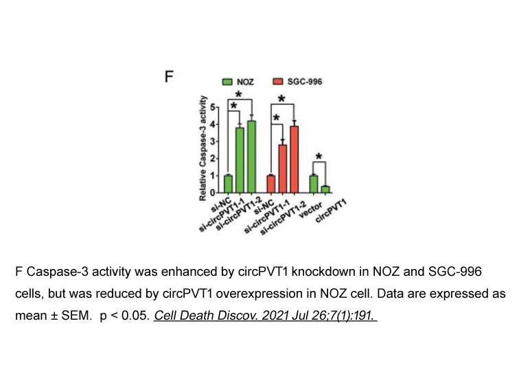 Caspase-3 Colorimetric Assay Kit